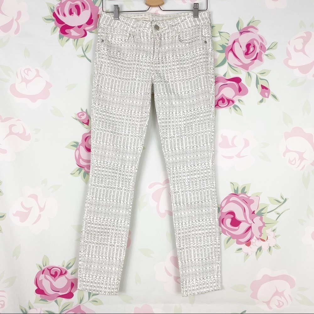 Anthropologie Pilcro and the Letterpress Stet Morocco Skinny Jeans 27
